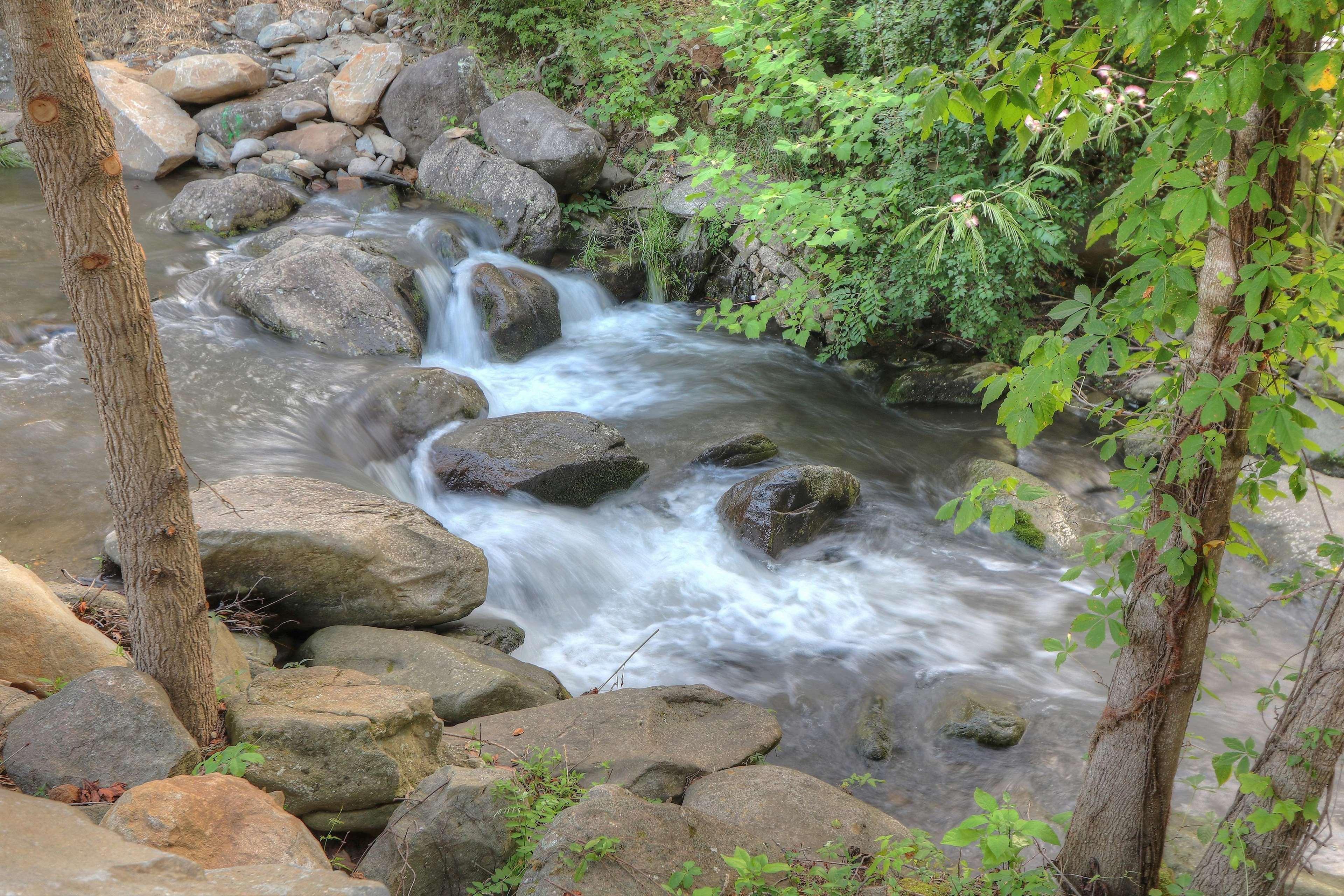 Hampton Inn Gatlinburg Historic Nature Trail, Tn Kültér fotó